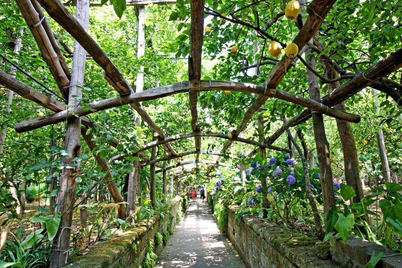 I Giardini Di Cataldo Sorrento Villa Екстериор снимка