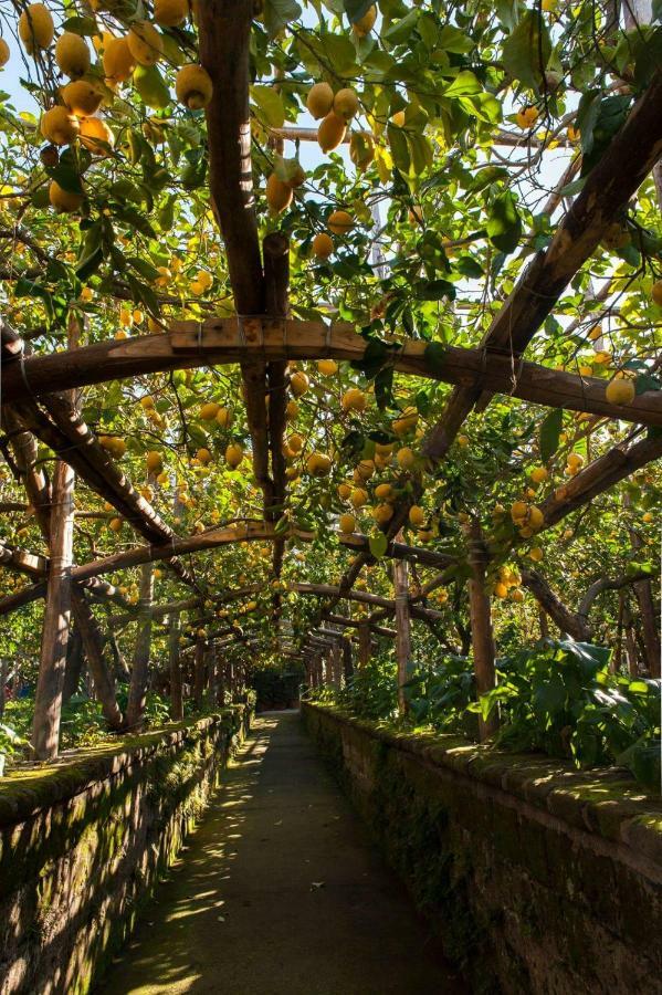 I Giardini Di Cataldo Sorrento Villa Екстериор снимка